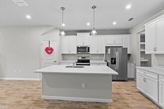 4212 Cloud Hopper Wy in Lutz, FL - Building Photo - Building Photo