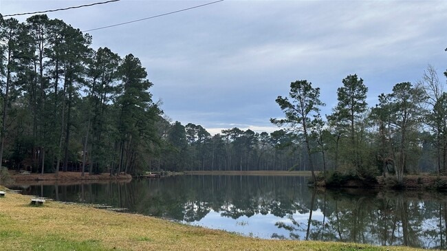 5753 Pinehurst Dr in Montgomery, TX - Building Photo - Building Photo