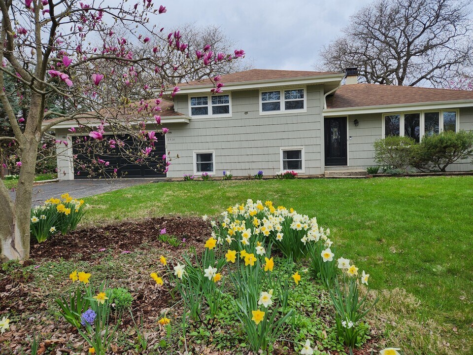 7516 Main St in Darien, IL - Building Photo
