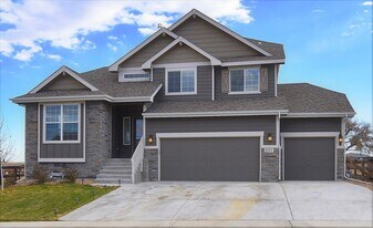 831 Shade Tree Dr in Windsor, CO - Building Photo