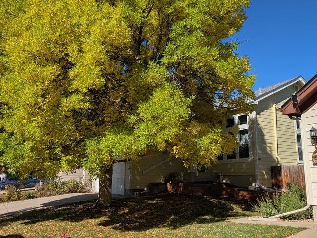 3303 W 126th Ave in Broomfield, CO - Building Photo - Building Photo
