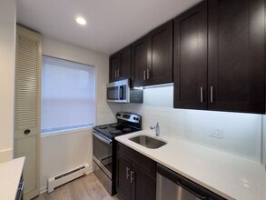 520 Aldine in Chicago, IL - Building Photo - Building Photo