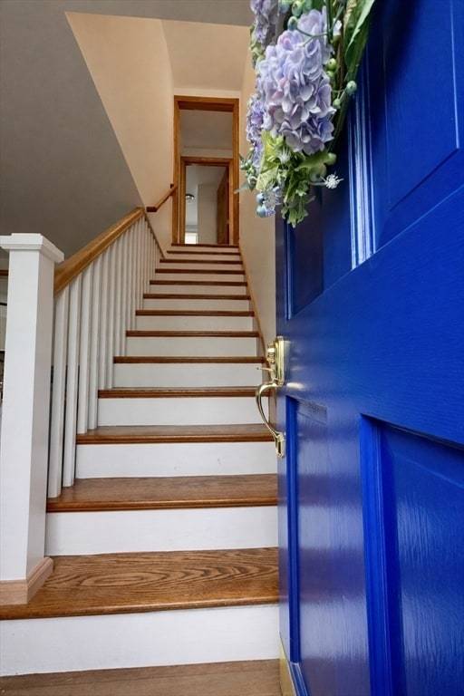 property at 15 Myrtle Dr