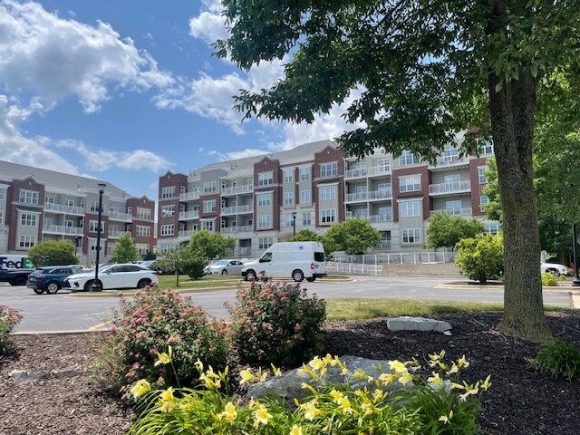 property at 3862 S Lake Dr