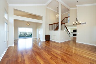 1808 Avenida Mimosa in Encinitas, CA - Building Photo - Building Photo