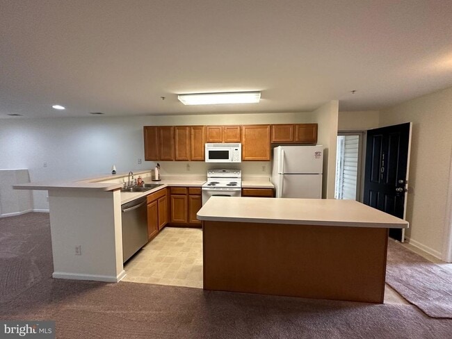 1101 Caitlins Way in Millsboro, DE - Building Photo - Building Photo