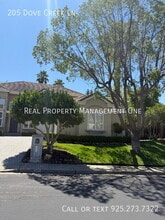205 Dove Creek Ln in Danville, CA - Building Photo - Building Photo