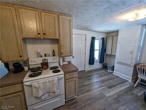 6719 N Ridge Rd E in Geneva, OH - Building Photo - Building Photo