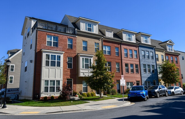 2421 Auden Dr in Silver Spring, MD - Building Photo - Building Photo