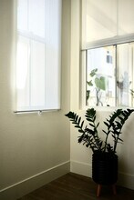 37654 Cape Cod Rd, Unit SI ID1328936P in Newark, CA - Foto de edificio - Building Photo