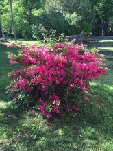 144 Scenic Harpeth Dr in Kingston Springs, TN - Building Photo - Building Photo