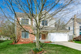 8370 Payson Dr in Lewis Center, OH - Building Photo - Building Photo