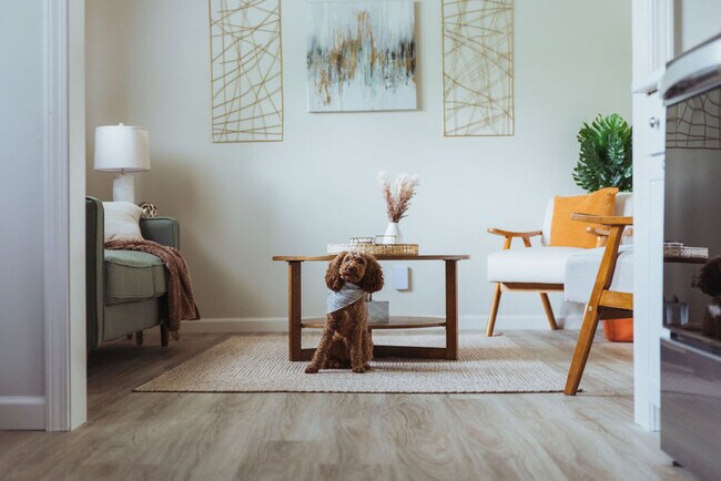 308 Lamont St, Unit ID1397974P in Johnson City, TN - Building Photo - Building Photo