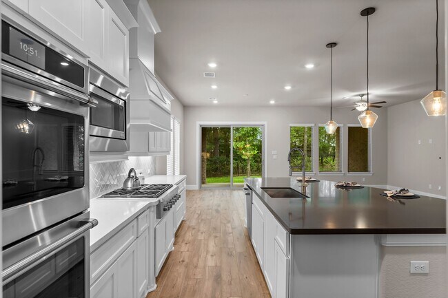 2009 Capriccio Dr in Spring, TX - Building Photo - Building Photo