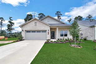 16478 Branchers Dr in Magnolia, TX - Building Photo