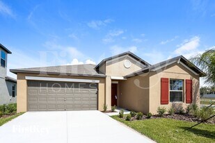5001 White Chicory Dr in Ruskin, FL - Building Photo