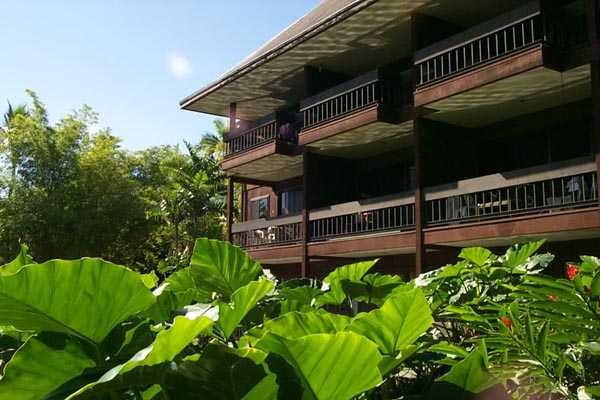 Hilo Village Apartments in Hilo, HI - Foto de edificio - Building Photo