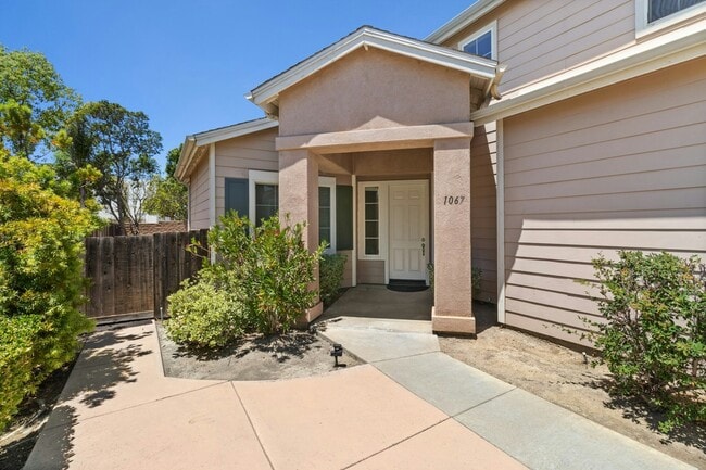 1067 Princess Kyra Pl in Escondido, CA - Building Photo - Building Photo