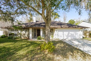 15155 Nighthawk Dr in Tampa, FL - Building Photo