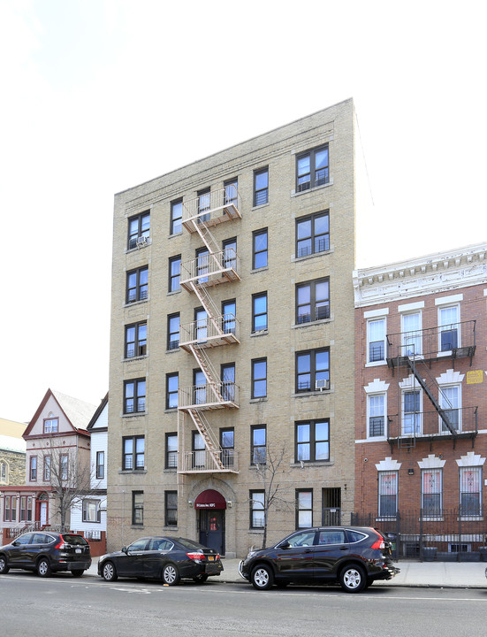 1974 Crotona Ave in Bronx, NY - Building Photo