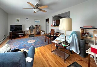 244 S Marion St in Oak Park, IL - Building Photo - Building Photo