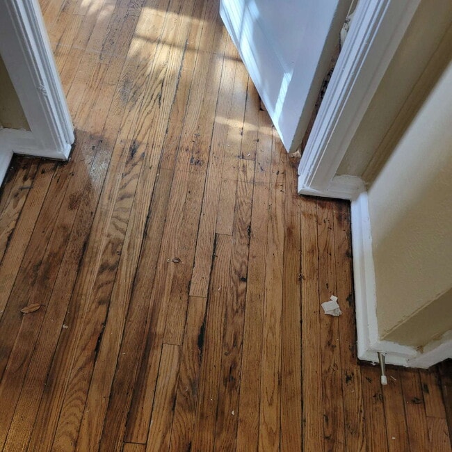 3835 N Tacoma Ave in Indianapolis, IN - Building Photo - Building Photo