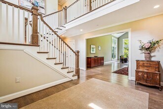 6301 Poindexter Ln in Rockville, MD - Building Photo - Building Photo