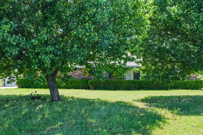 property at 7259 FM982