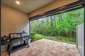 5086 San Martino Dr in Wesley Chapel, FL - Building Photo - Building Photo