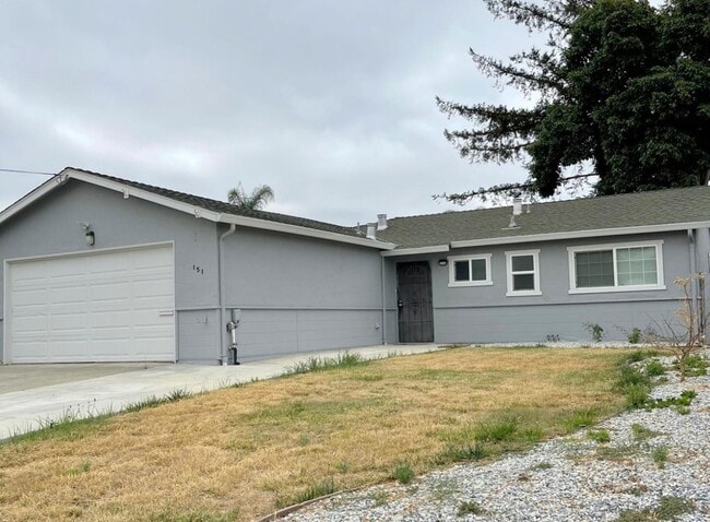 151 Teddy Dr in Union City, CA - Building Photo - Building Photo