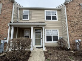 309 Springbrook Trail S in Oswego, IL - Building Photo