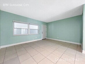 1106 Pass a Grille Way in St Pete Beach, FL - Building Photo - Building Photo
