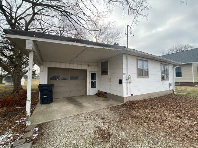 809 E Wilson St in Tuscola, IL - Building Photo - Building Photo