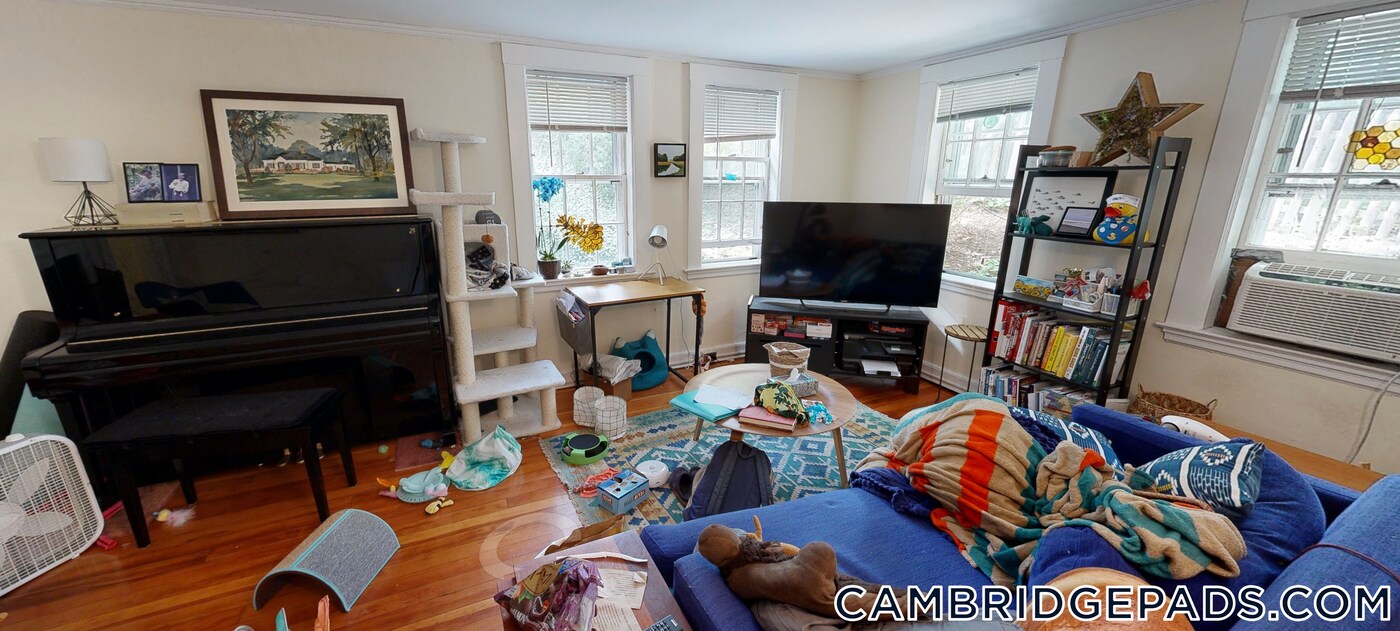 38 Gibson St in Cambridge, MA - Building Photo