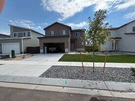 351 Blanket Flower St in Calhan, CO - Building Photo