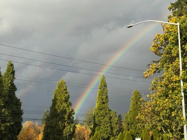 11240 SW Barbur Blvd, Unit 27 in Portland, OR - Foto de edificio - Building Photo