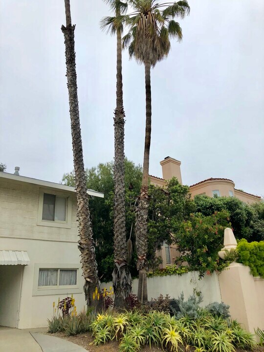 1521 12th St in Santa Monica, CA - Building Photo