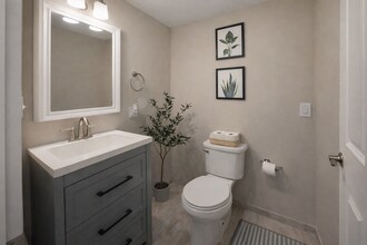 32-34-34 Ditson St in Boston, MA - Building Photo - Building Photo