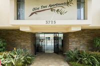 Olive Tree Apartments photo'