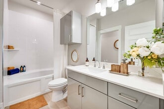 Mansions at Oak Point in Little Elm, TX - Building Photo - Building Photo