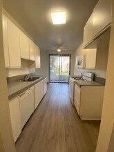 4343 Whitsett Ave in Los Angeles, CA - Foto de edificio - Building Photo