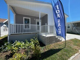 2346 Druid Rd in Clearwater, FL - Building Photo