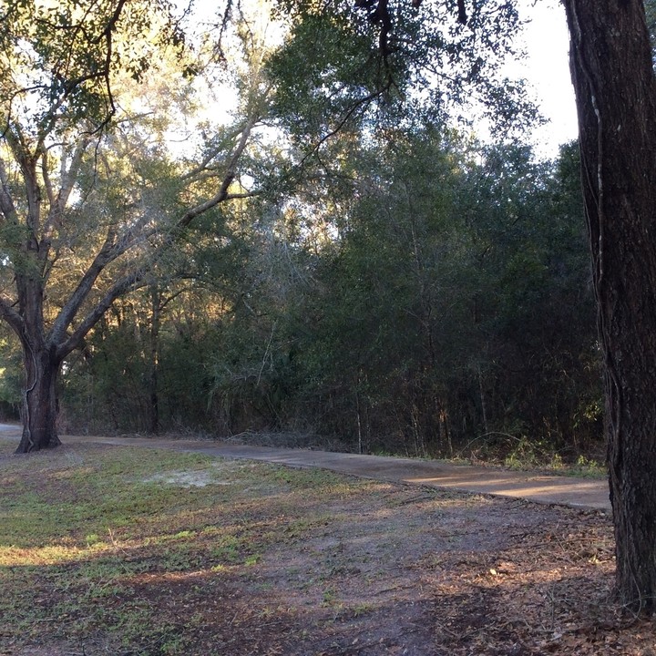 3151 E County Road 44 in Eustis, FL - Building Photo