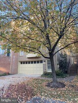 1713 Leighton Wood Ln in Silver Spring, MD - Building Photo