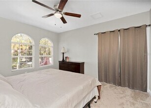 557 Lusara Ct in Dunedin, FL - Building Photo - Building Photo