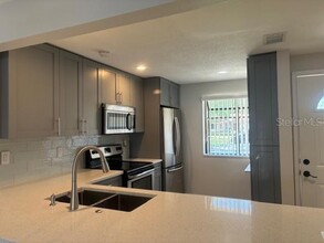 207 Corkwood Ln in Oldsmar, FL - Building Photo - Building Photo