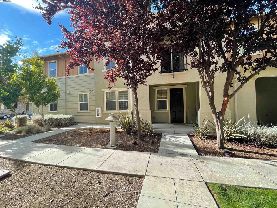 695 Elderberry Dr in Milpitas, CA - Building Photo