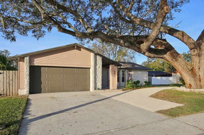 3911 King Dr in Brandon, FL - Foto de edificio - Building Photo