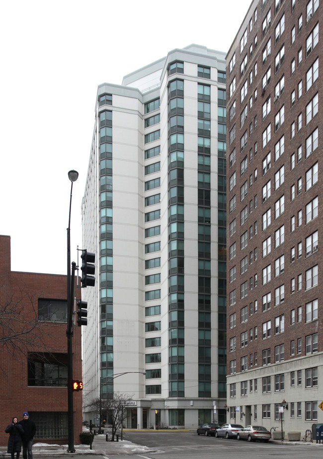 Maple in Chicago, IL - Foto de edificio - Building Photo