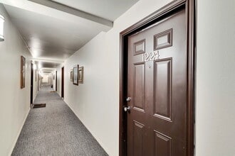 2020 S Congress Ave in Austin, TX - Foto de edificio - Building Photo